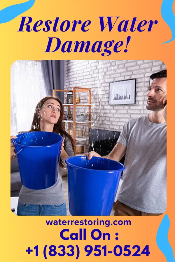 water restoration Zenith Damage Recovery Solutions Greenwood