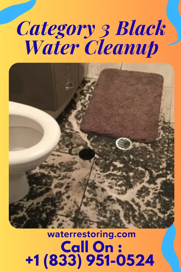 Category 3 Black Water Cleanup in Greenwood, PA