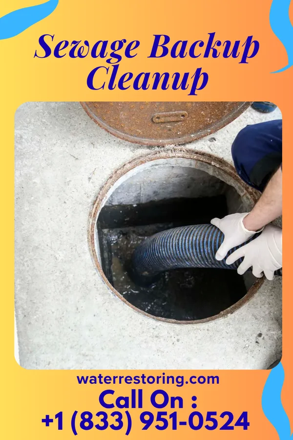 Sewage Backup Cleanup in Greenwood, PA