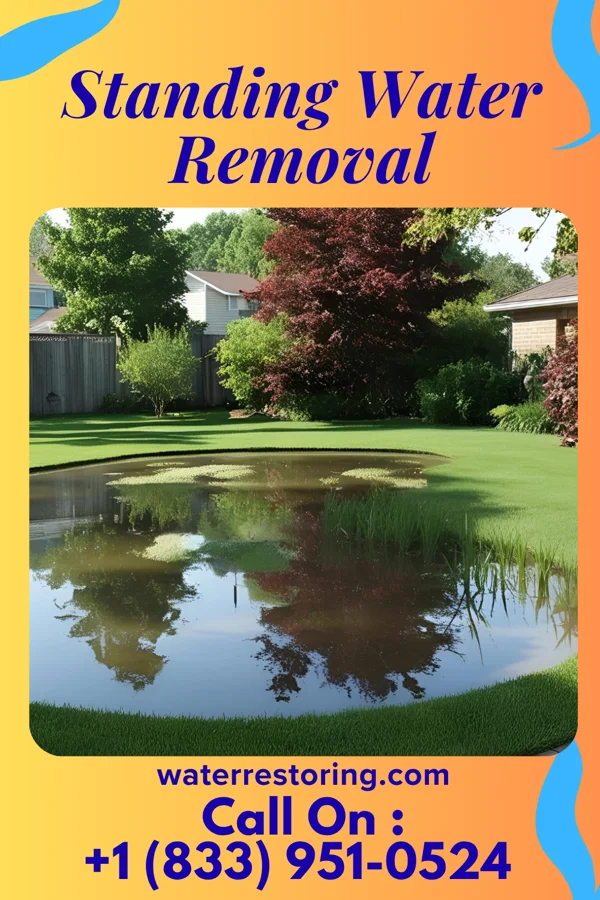 Standing Water Removal in Greenwood, PA